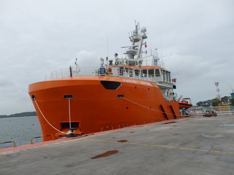 Fastnet Sentinel Naming Ceremony